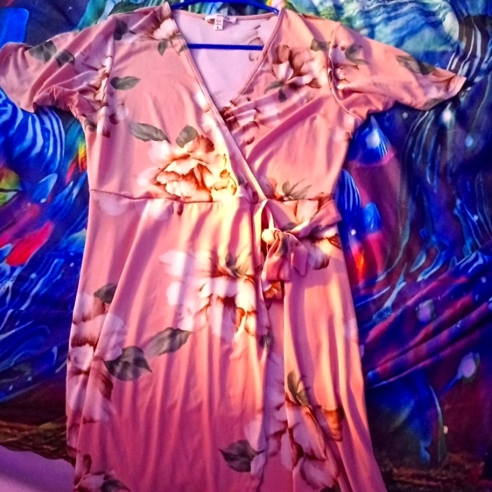 It's to small for me now. This dress is a Monteau dress and a large.
